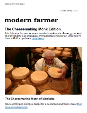 Modern Farmer_cheese enews