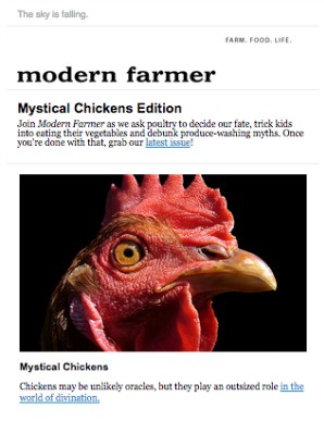 Modern Farmer_chicken enews